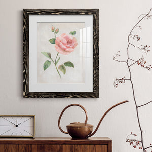 Grandiflora I - Barnwood Framed Art Print