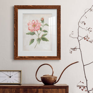Grandiflora II - Barnwood Framed Art Print