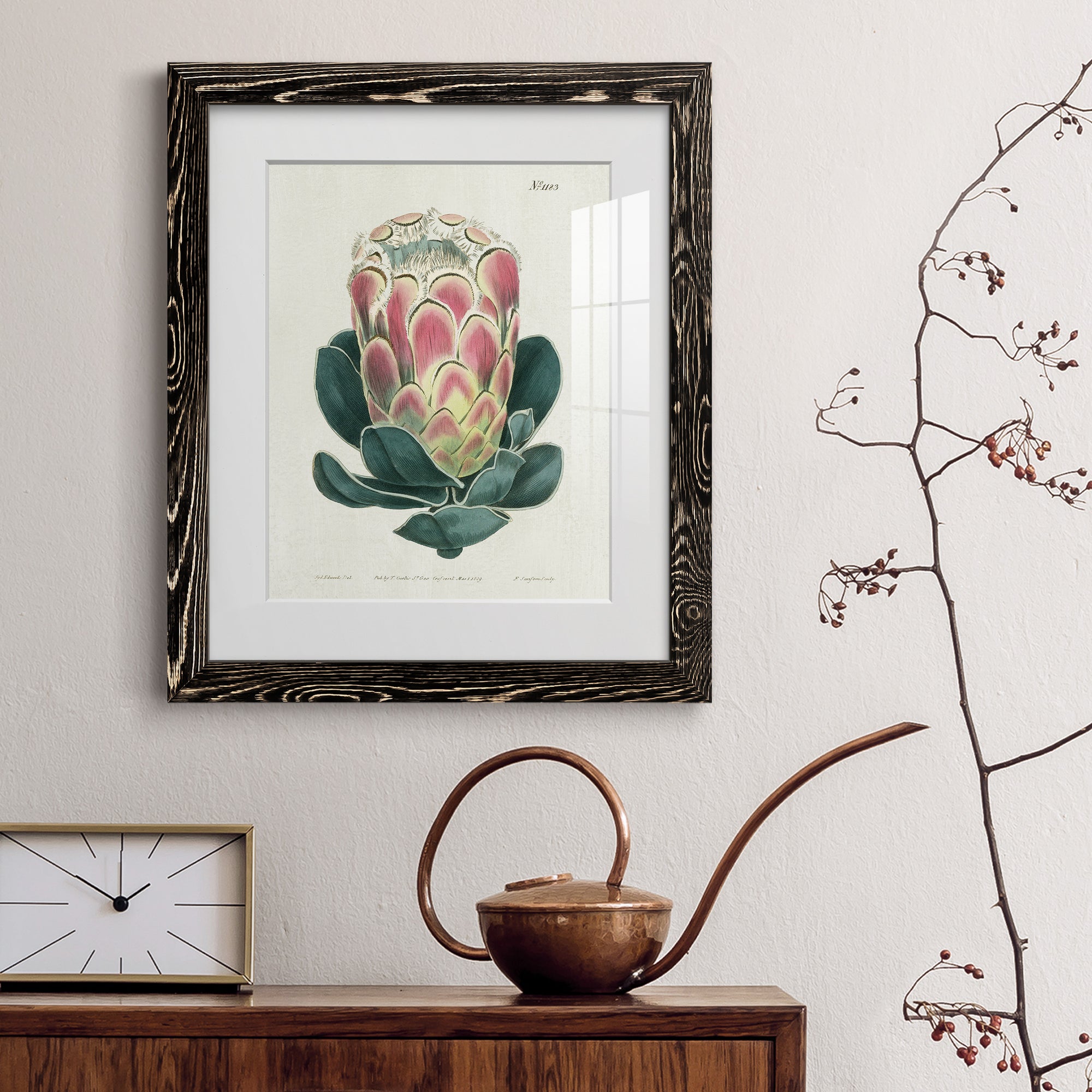 Protea N83 - Barnwood Framed Art Print