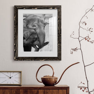 Tender Moment - Barnwood Framed Art Print