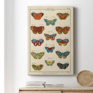 Histoire Naturelle Butterflies I - Canvas Art Print