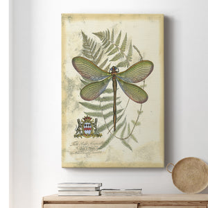 Regal Dragonfly II (PP)  - Canvas Art Print