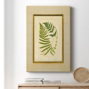 Fern with Crackle Mat (H) III Premium Gallery Wrapped Canvas - Ready to Hang