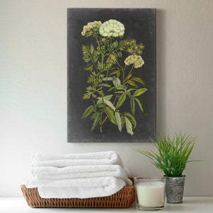 Bookplate Floral I Premium Gallery Wrapped Canvas - Ready to Hang