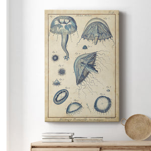 Lamarck Medusa I - Canvas Art Print