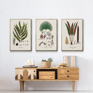 Botanical Society Ferns I - Framed Premium Gallery Wrapped Canvas L Frame 3 Piece Set - Ready to Hang