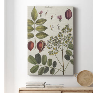 Exotic Botanique I - Canvas Art Print