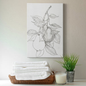 Fruit-Bearing Branch III - Canvas Art Print