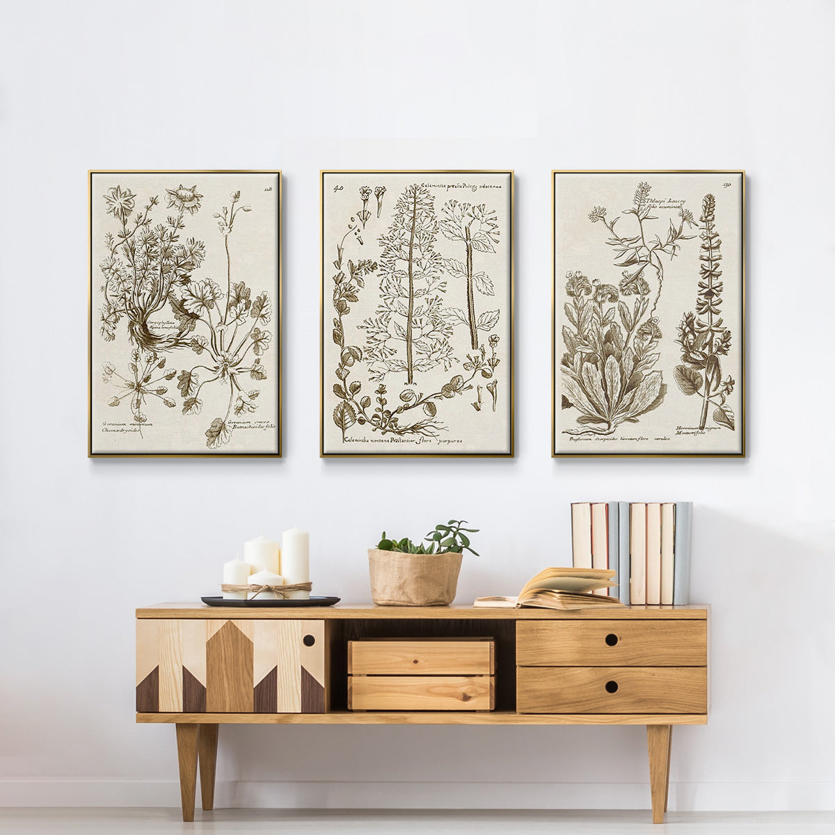 Sepia Botanical Journal IV - Framed Premium Gallery Wrapped Canvas L Frame 3 Piece Set - Ready to Hang