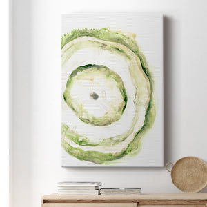 Lichen Halo III Premium Gallery Wrapped Canvas - Ready to Hang