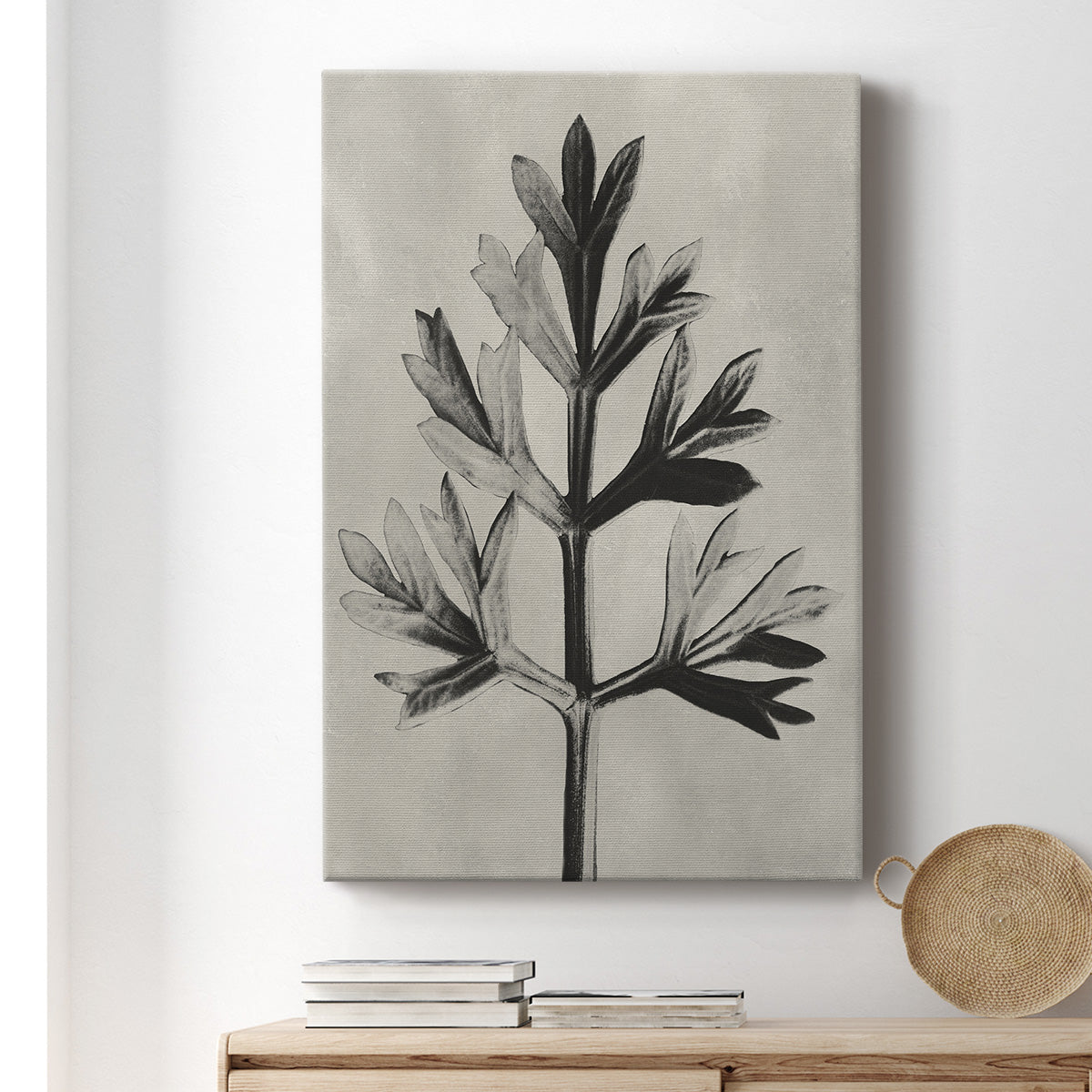 Blossfeldt Botanical I Premium Gallery Wrapped Canvas - Ready to Hang