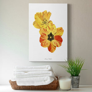 Olive's Tulips I Premium Gallery Wrapped Canvas - Ready to Hang