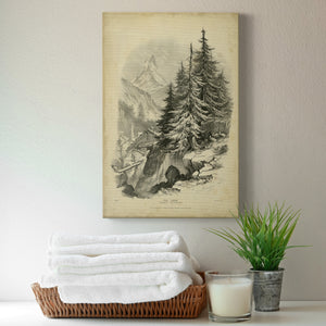The Larch - Canvas Art Print