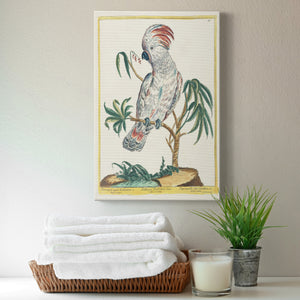 Pastel Birds II - Canvas Art Print