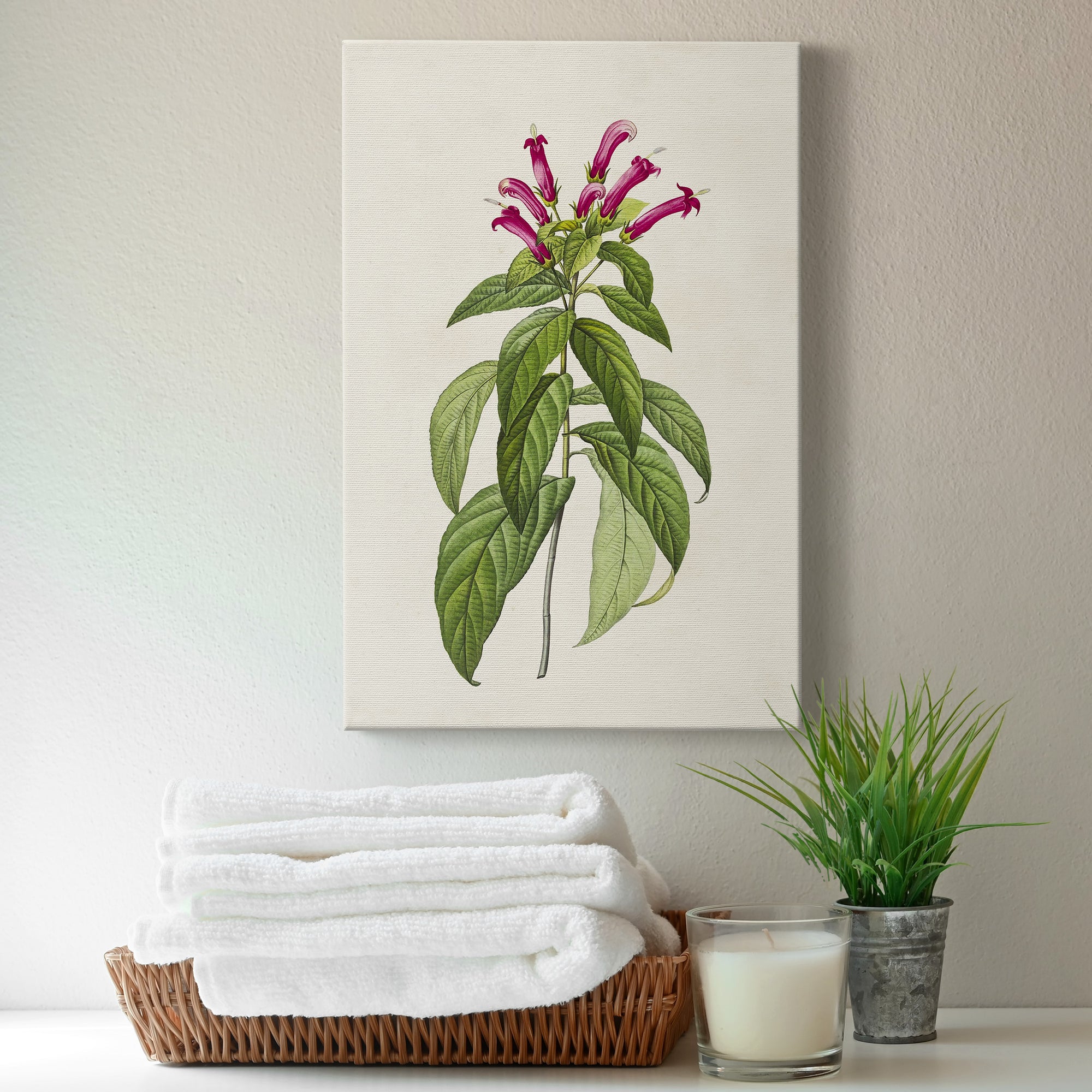 Pretty Pink Botanicals VIII Premium Gallery Wrapped Canvas - Ready to Hang