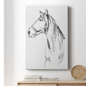 Bridle Portraits I - Canvas Art Print