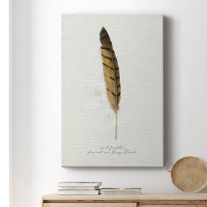 Found Feather III - Canvas Art Print