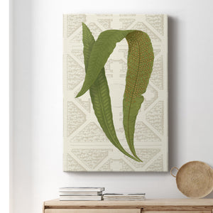 Garden Ferns IV Premium Gallery Wrapped Canvas - Ready to Hang