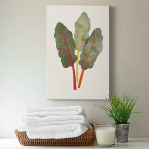 Organic Veg V Premium Gallery Wrapped Canvas - Ready to Hang