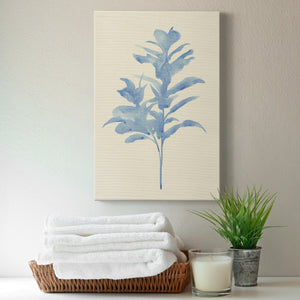 Verditer Fig I - Canvas Art Print