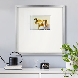 Gold Cow Premium Framed Print Double Matboard