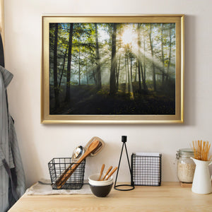 Light and Trees Premium Classic Framed Canvas - Ready to Hang