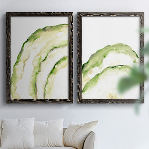 Lichen Halo I - Barnwood Framed Canvas Set