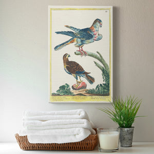 Pastel Birds III - Canvas Art Print