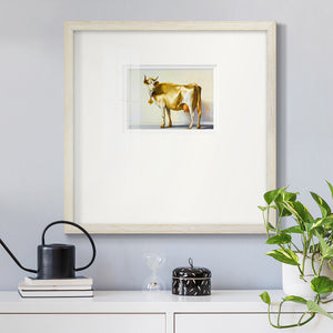 Gold Cow Premium Framed Print Double Matboard