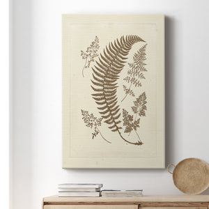 Sepia Ferns IV Premium Gallery Wrapped Canvas - Ready to Hang