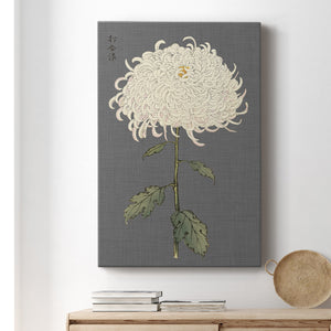 Dramatic Ivory Mums II Premium Gallery Wrapped Canvas - Ready to Hang