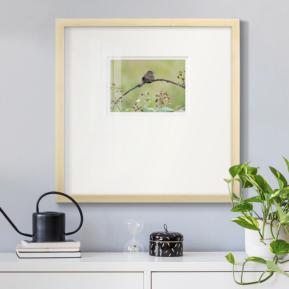 Resting Sparrow- Premium Framed Print Double Matboard