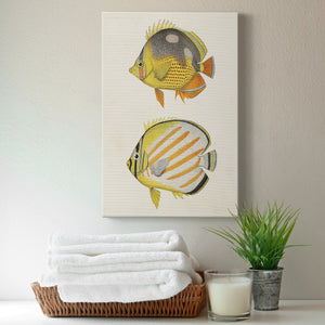 Yellow & Grey Fish IV Premium Gallery Wrapped Canvas - Ready to Hang