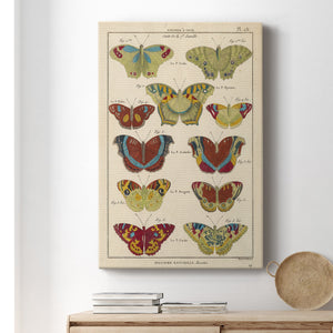 Histoire Naturelle Butterflies V - Canvas Art Print