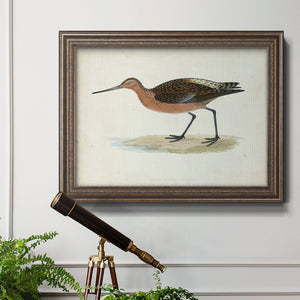 Morris Sandpipers II Premium Framed Canvas- Ready to Hang