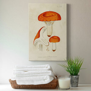 Mushroom Varieties IX Premium Gallery Wrapped Canvas - Ready to Hang