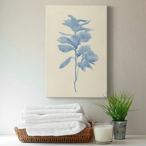 Verditer Fig III - Canvas Art Print