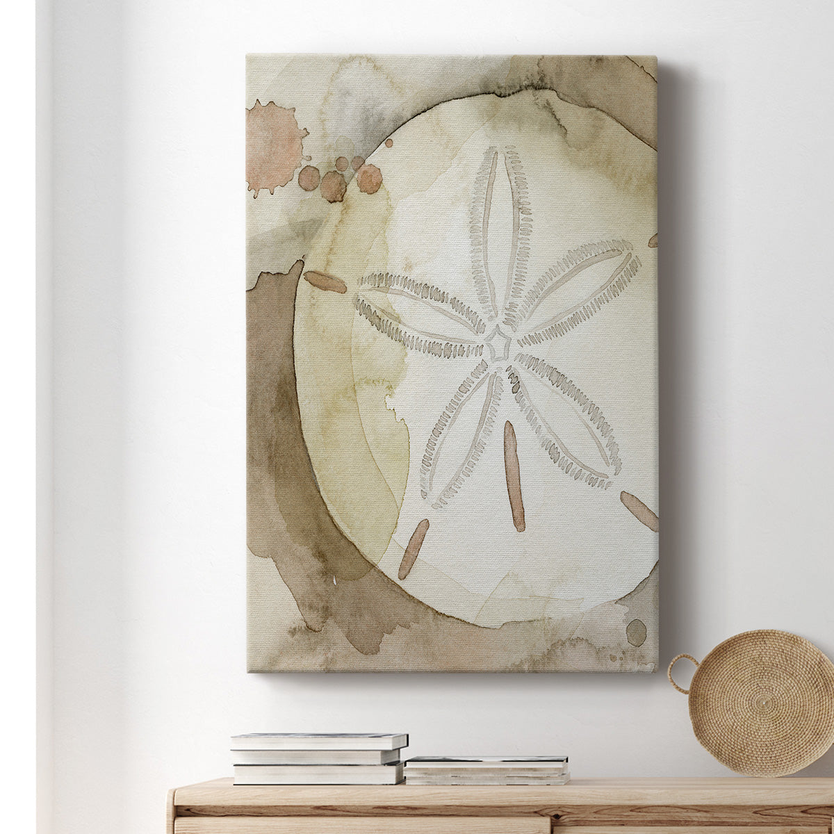 Dry Sand Dollar II Premium Gallery Wrapped Canvas - Ready to Hang
