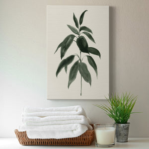 Soft Greenery II - Canvas Art Print