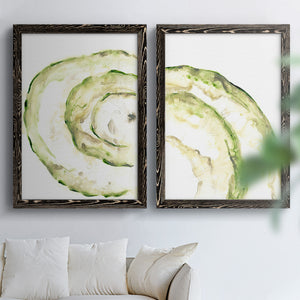 Lichen Halo V - Barnwood Framed Canvas Set