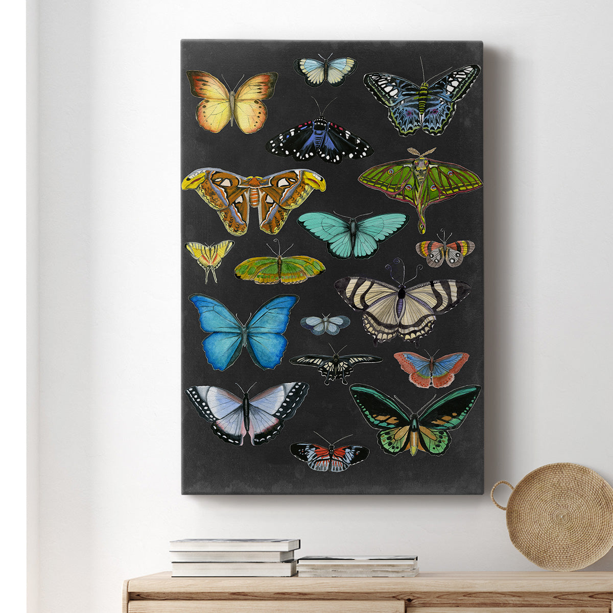 Graphic Butterfly Taxonomy I Premium Gallery Wrapped Canvas - Ready to Hang