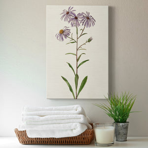 Mauve Garden Flowers III Premium Gallery Wrapped Canvas - Ready to Hang