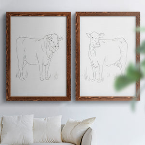 Limousin Cattle I - Barnwood Framed Canvas Set
