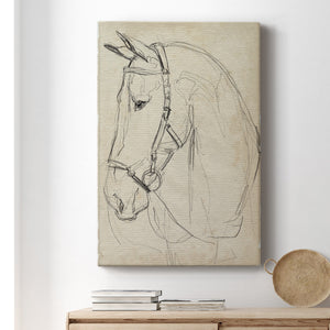 Horse in Bridle Sketch II - Canvas Art Print