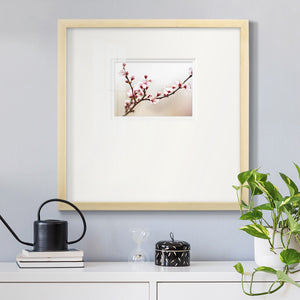 Cherry Blossom Study I Premium Framed Print Double Matboard