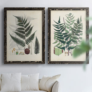 Collected Ferns VI - Premium Framed Canvas 2 Piece Set - Ready to Hang