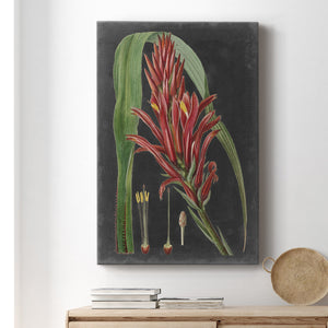 Dramatic Tropicals II Premium Gallery Wrapped Canvas - Ready to Hang