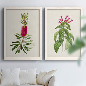 Pretty Pink Botanicals VII - Premium Framed Canvas 2 Piece Set - Ready to Hang
