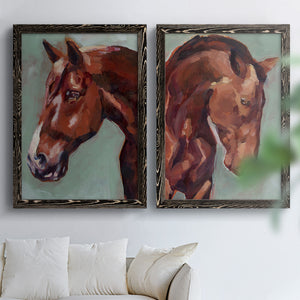 Paint by Number Horse I - Premium Framed Canvas 2 Piece Set - Ready to Hang