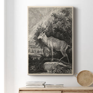 Woodland Deer II Premium Gallery Wrapped Canvas - Ready to Hang